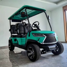 Golf Cart 4 Seater Low Speed Vehicle Golf Cart Thunder Series GT40F